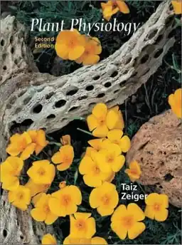 Plant physiology